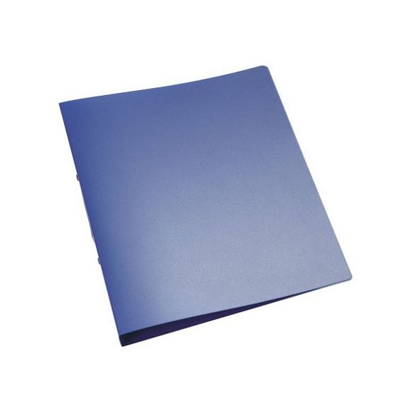 Gyűrűskönyv A/4 2gyűrűs 25mm áttetsző Q-Connect kék